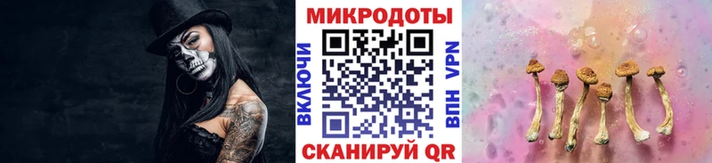 закладка  Елец  Галлюциногенные грибы GOLDEN TEACHER 