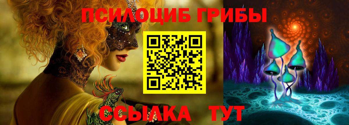 Елец  Псилоцибиновые грибы Psilocybine cubensis  Вход с VPN 