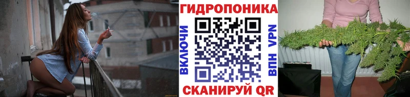 Бошки Шишки тримм  даркнет сайт  Елец 