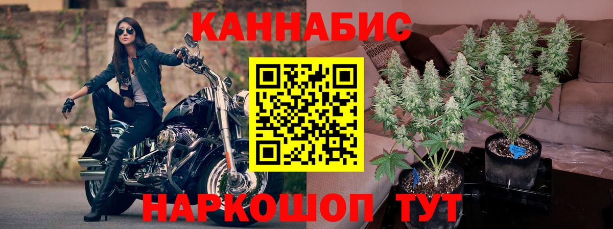 Конопля семена Елец